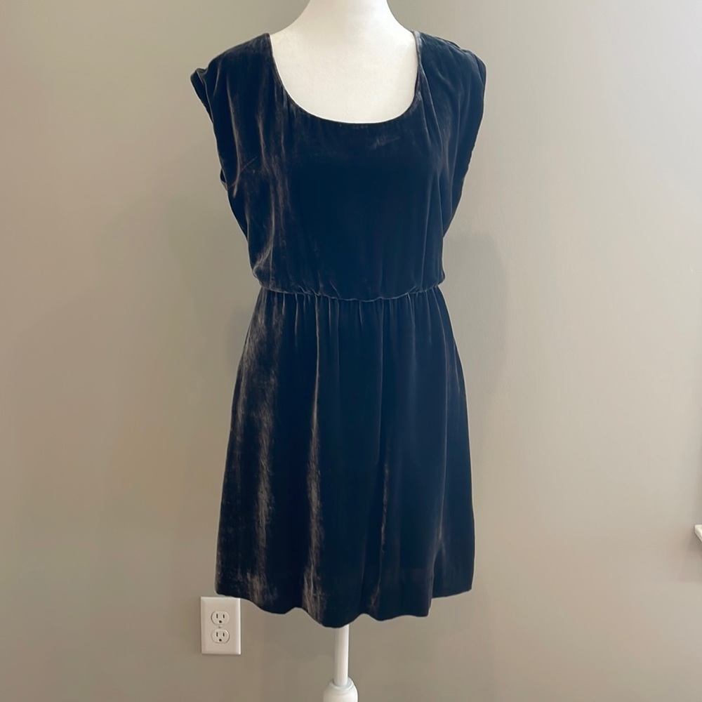 JCREW Velvet Dress